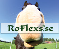 RoFlexs Skandinavien
